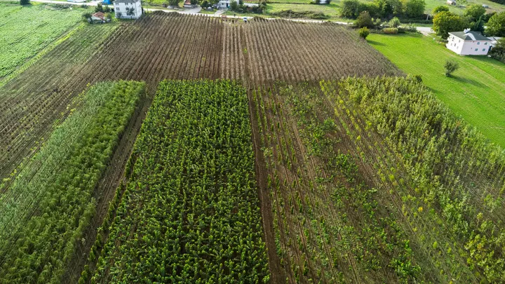 Üretim alanlarımızın panoraması